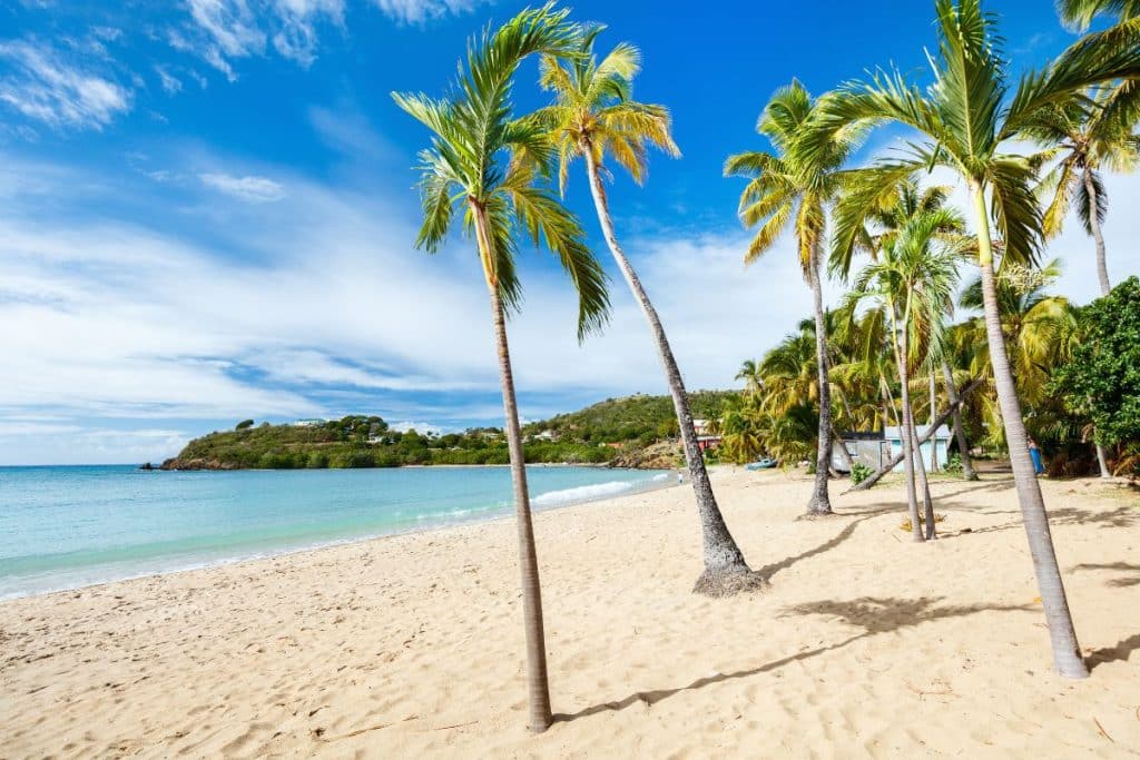 Tìm hiểu quy trình gia hạn hộ chiếu và quyền truyền lại quốc tịch Antigua & Barbuda cho con cháu.